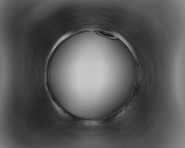 X0000086340861200704131742