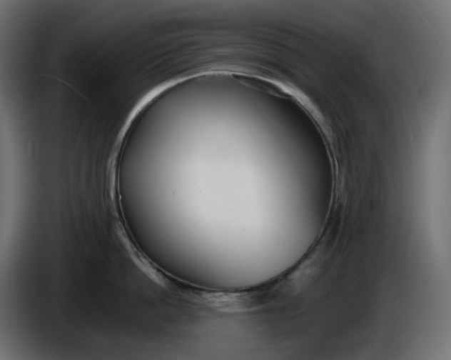 X0000086340862200704131742