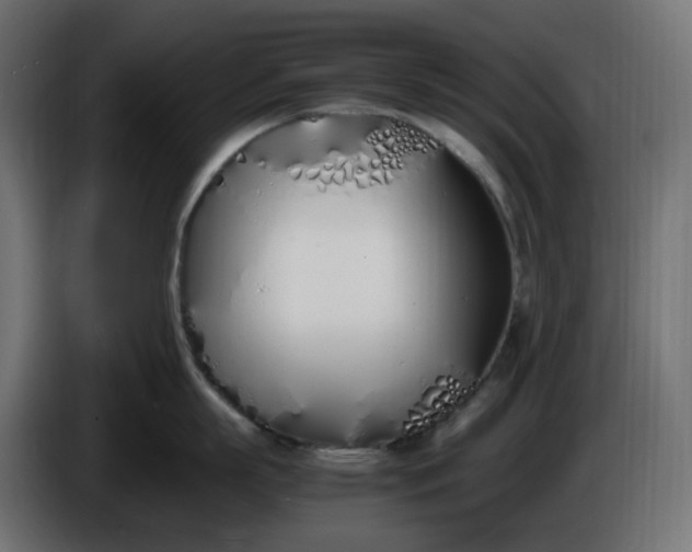 X0000086340863200704131742