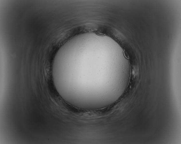 X0000086340867200704131741