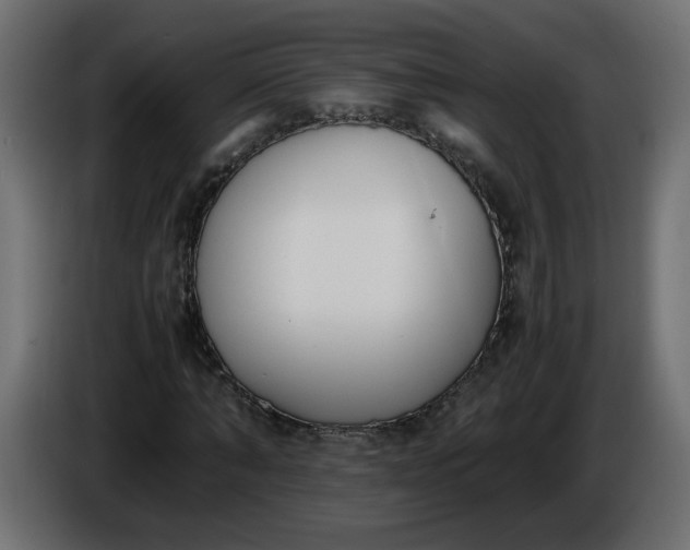 X0000086340870200704131741