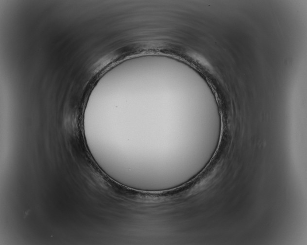 X0000086340873200704131741