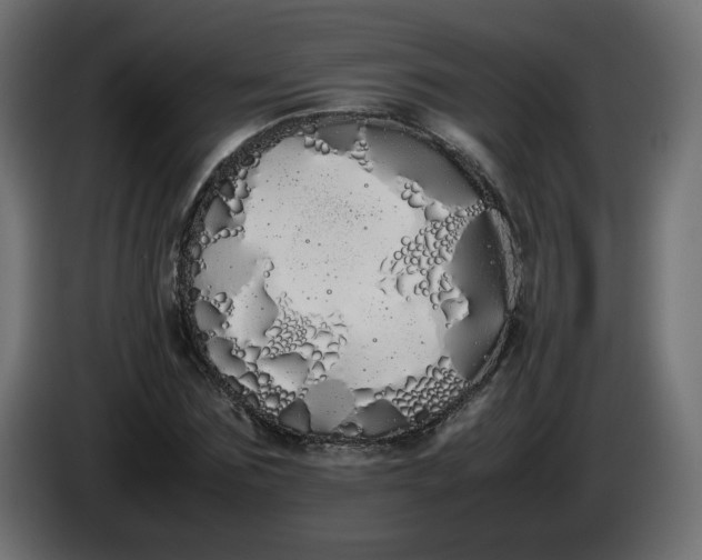X0000086340875200704131741