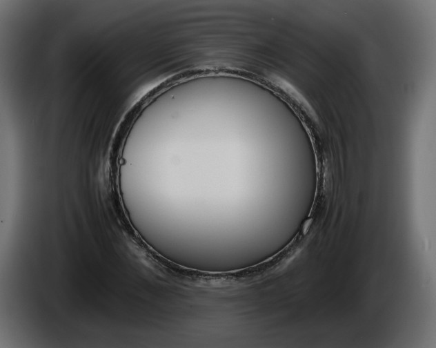 X0000086340876200704131741