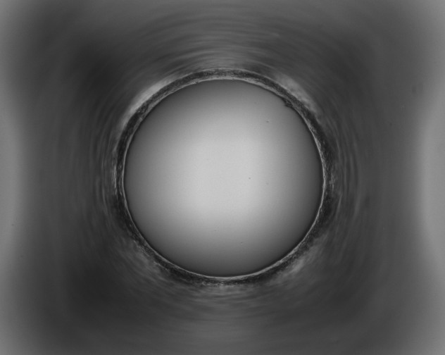X0000086340877200704131741