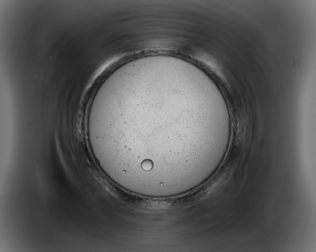 X0000086340878200704131741