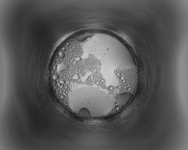 X0000086340879200704131741