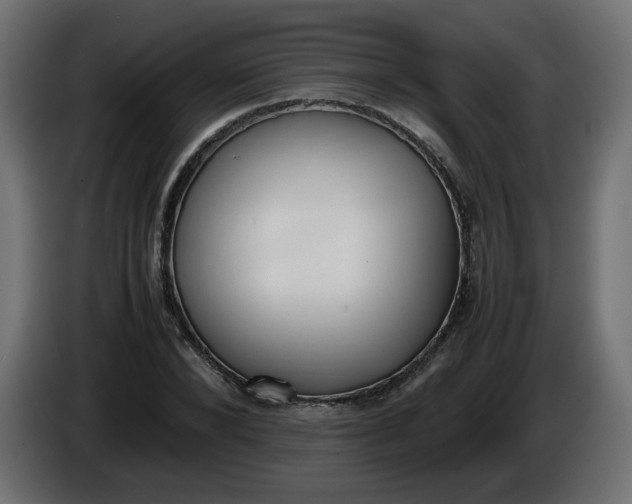 X0000086340880200704131741