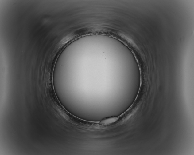 X0000086340881200704131741