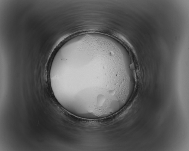 X0000086340883200704131741