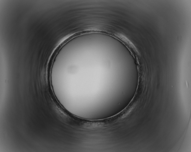 X0000086340884200704131741