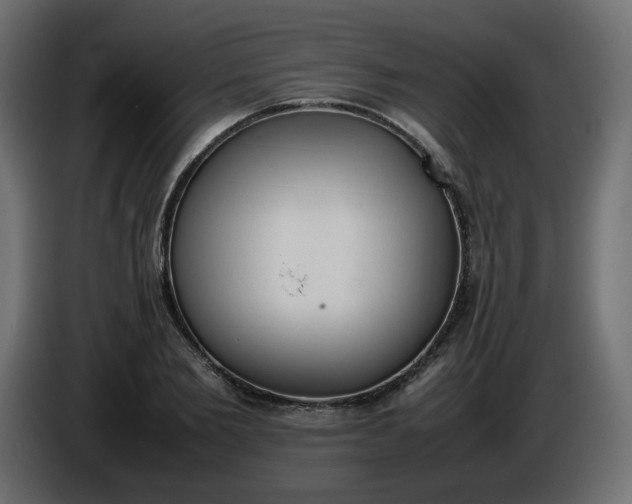 X0000086340885200704131741