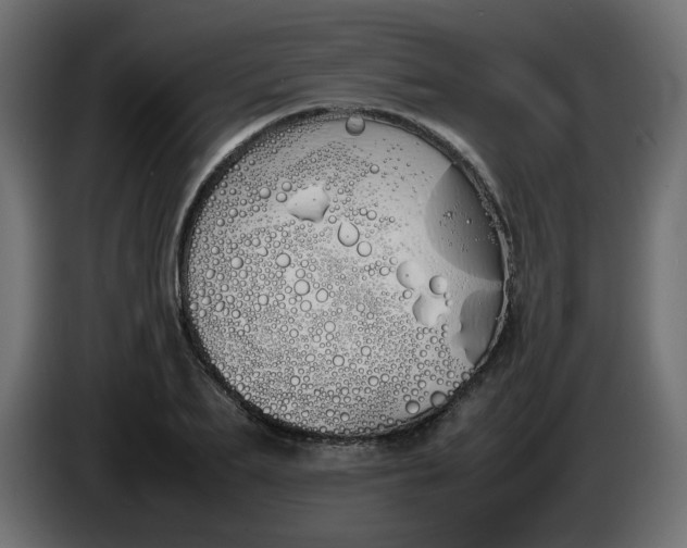 X0000086340887200704131741