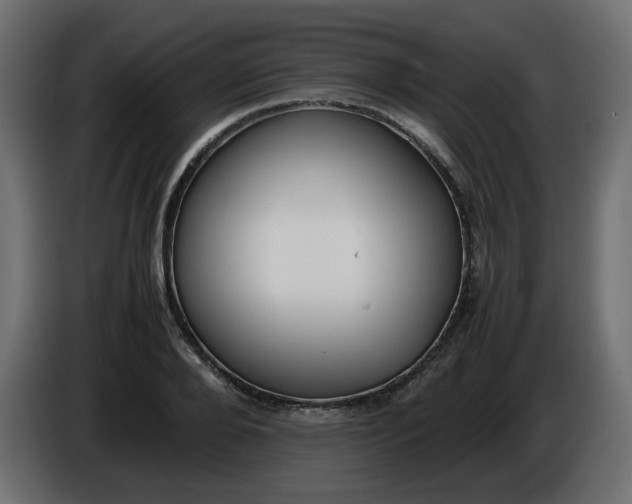 X0000086340888200704131741