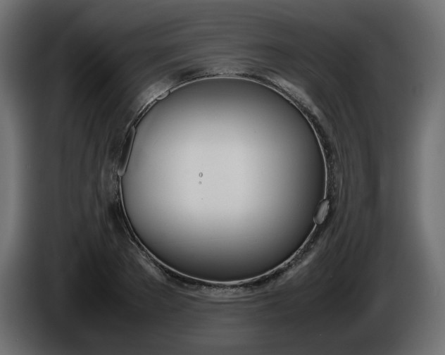 X0000086340889200704131741
