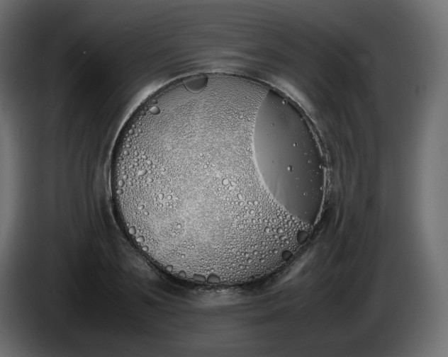X0000086340891200704131741
