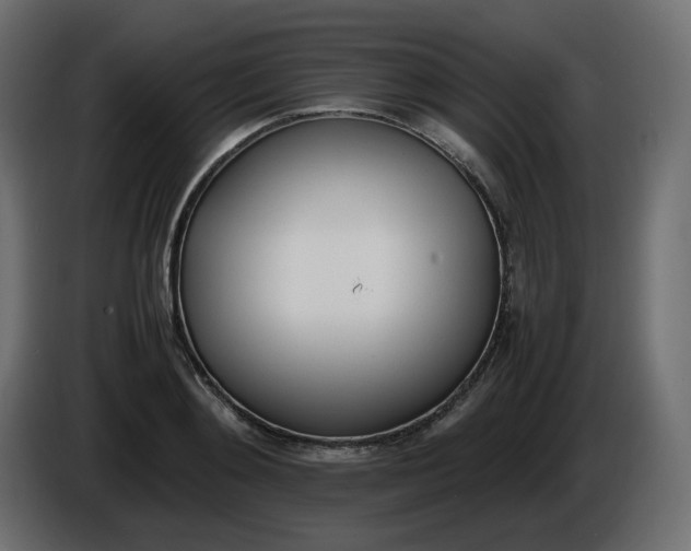 X0000086340892200704131741