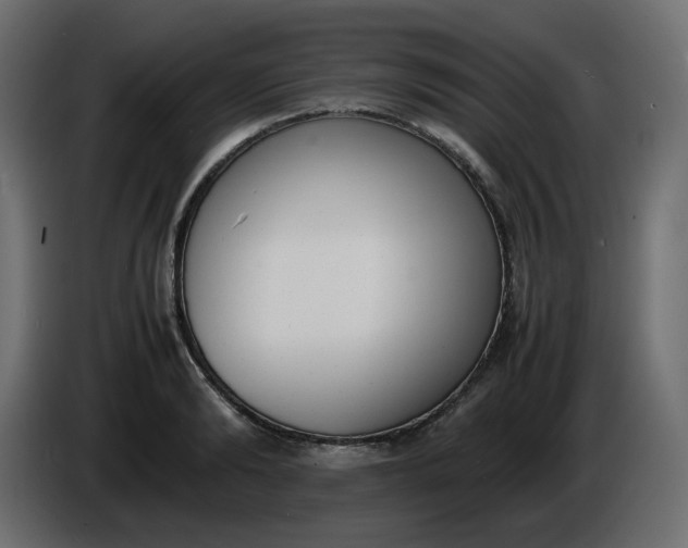 X0000086340894200704131741