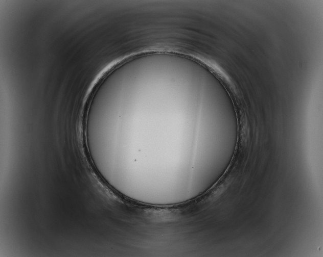X0000086340896200704131741