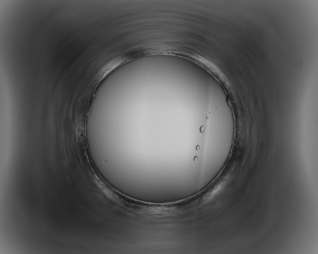 X0000086340897200704131741