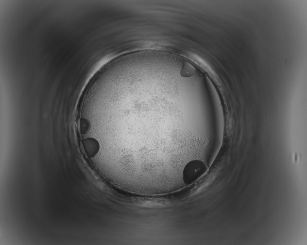 X0000086340899200704131741