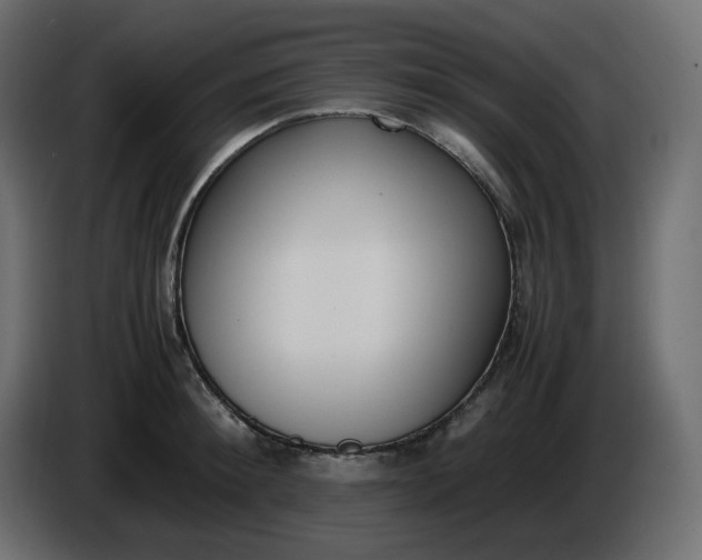 X0000086340900200704131741