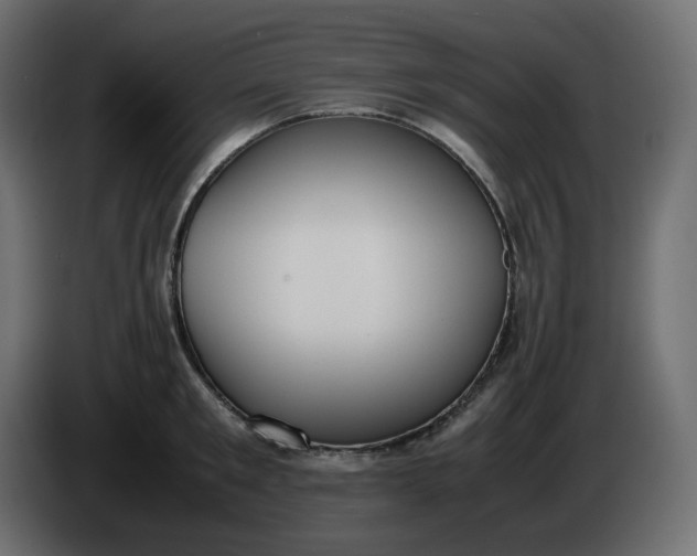 X0000086340901200704131741