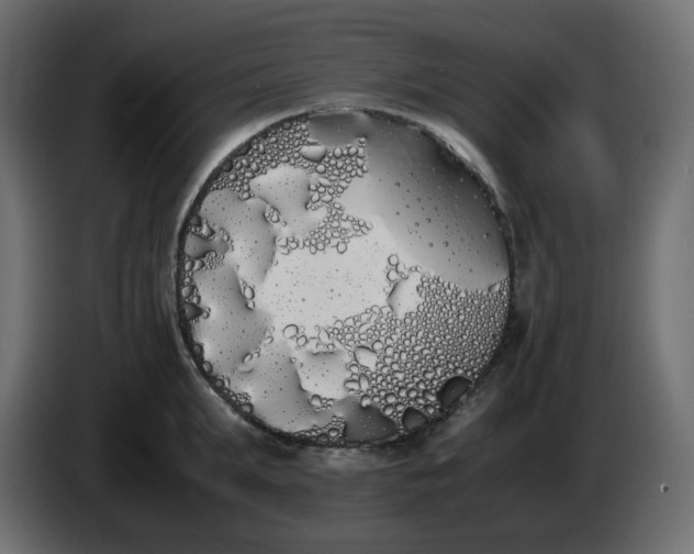 X0000086340903200704131741