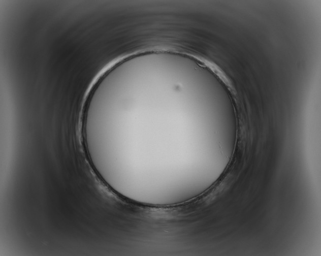 X0000086340904200704131741