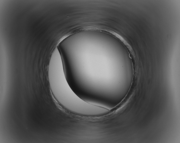X0000086340905200704131741