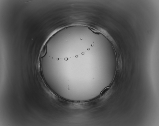 X0000086340908200704131740