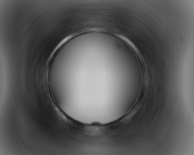X0000086340910200704131740