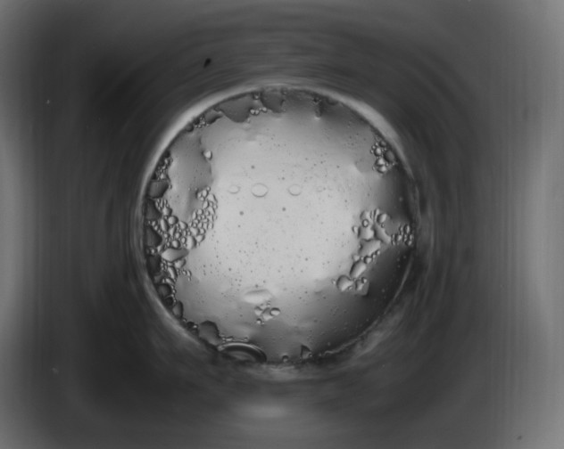 X0000086340911200704131740