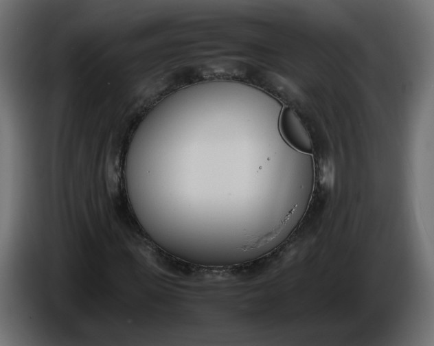 X0000086340915200704131740