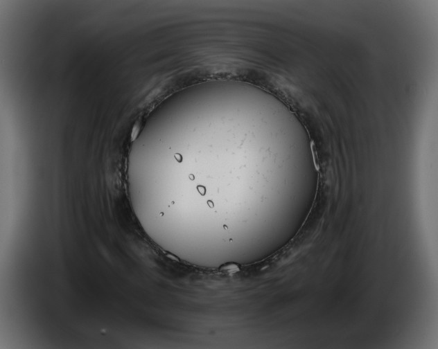 X0000086340916200704131740