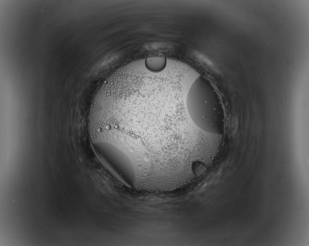 X0000086340917200704131740