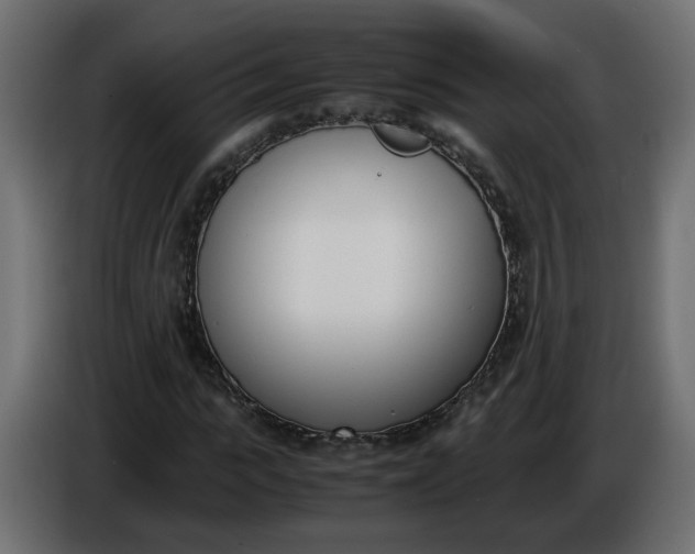 X0000086340919200704131740