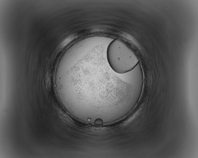 X0000086340921200704131740