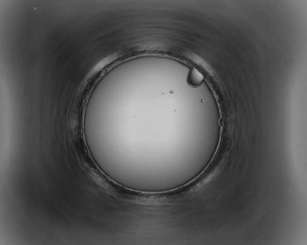 X0000086340922200704131740