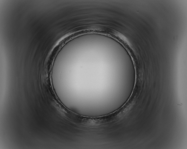 X0000086340923200704131740