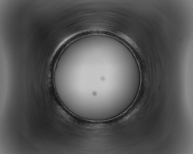 X0000086340926200704131740