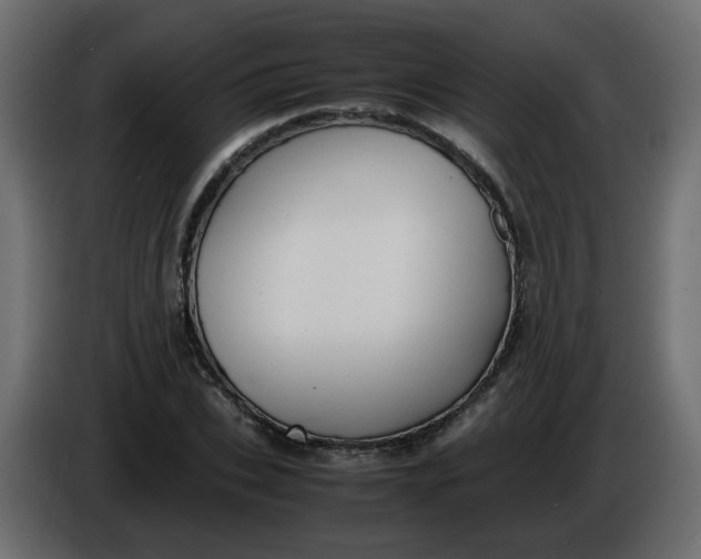 X0000086340927200704131740