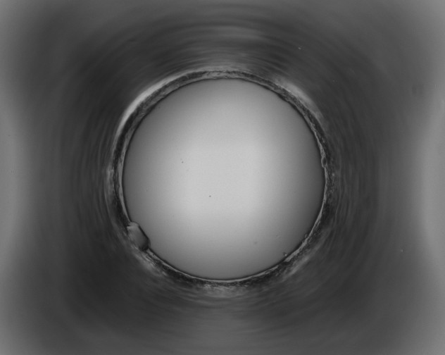 X0000086340928200704131740
