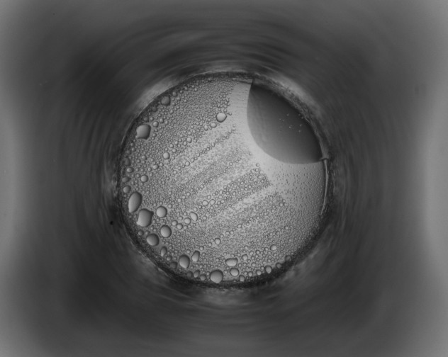 X0000086340929200704131740