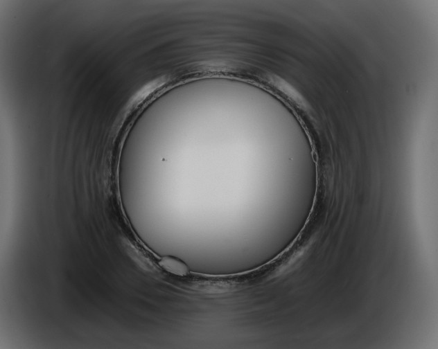 X0000086340930200704131740
