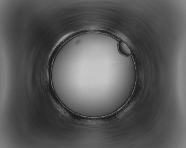 X0000086340934200704131740