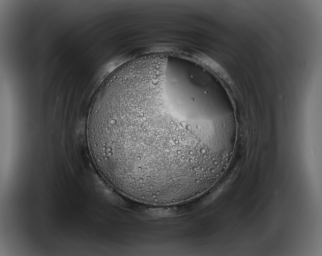 X0000086340937200704131740