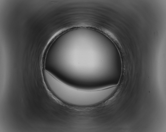 X0000086340942200704131740