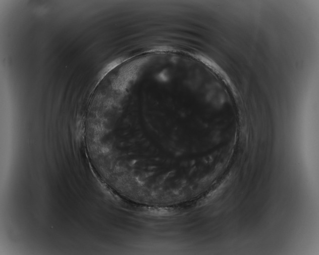 X0000086340945200704131740