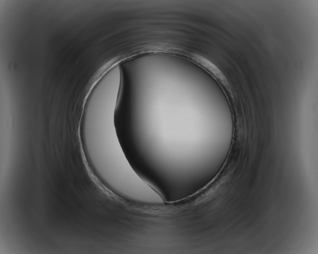 X0000086340946200704131740